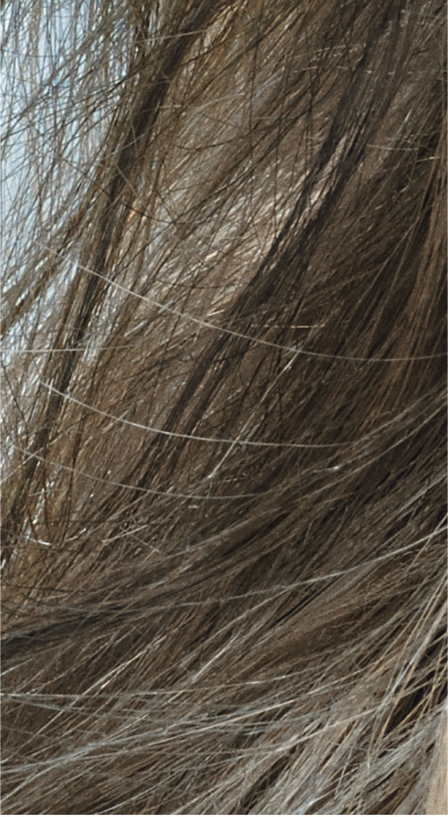 GW Tc-Depot 8-CA cool ash 250ml – Friseuroutlet