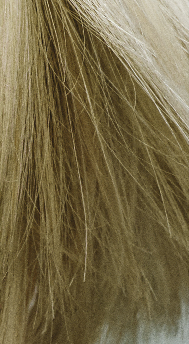 GW Colorance Demi Color 9-MB jade blo – Friseuroutlet
