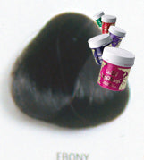 Directions ebony 100ml Haartönung – Friseuroutlet