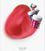 Directions tulip 100ml Haartönung – Friseuroutlet