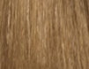 Majirel 8,21 Hellblond Irisé Asch – Friseuroutlet