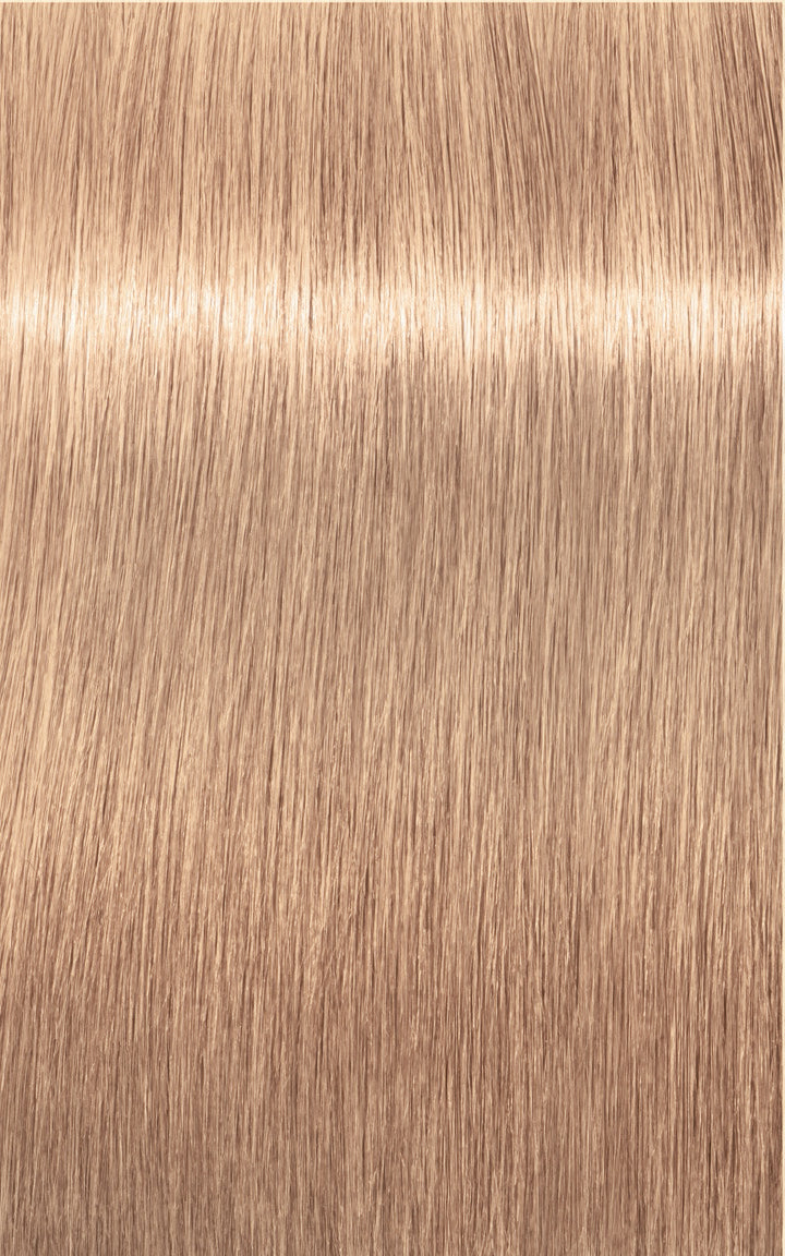 Schw. Igora Royal 12-49 spezialblond – Friseuroutlet