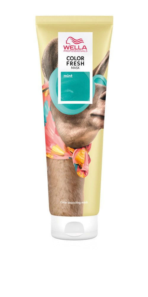 Wella Color Fresh Mask Mint – pflegende Farbmaske 150ml