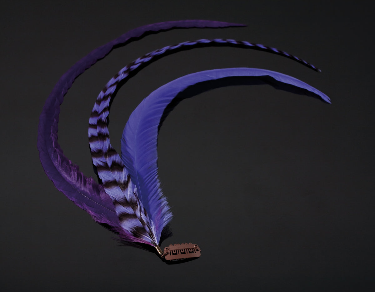Featherlocks Purples Statement Clips – Ansicht 2