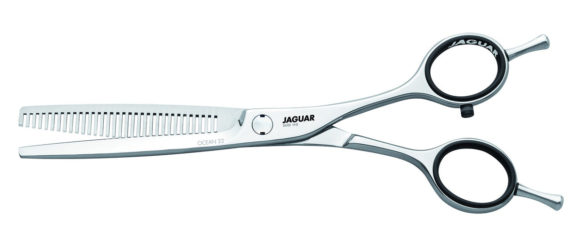 Jaguar HS 6,0" 69600 CC 32 Modelliersche