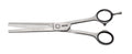 Jaguar Effilierschere Satin Plus ES46 6,5" (Modellierschere, 46 Zähne)
