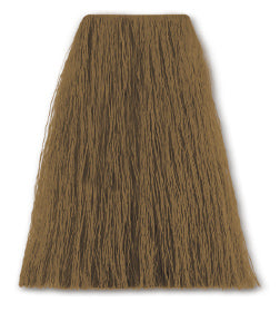 SBT 8-1a hellblond asch 100ml – Friseuroutlet