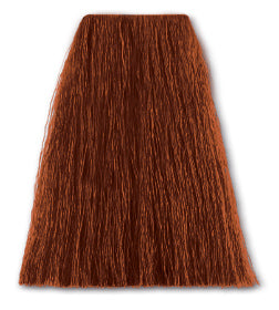 SBT 77-43kg mittelblond intensiv kupfer – Friseuroutlet
