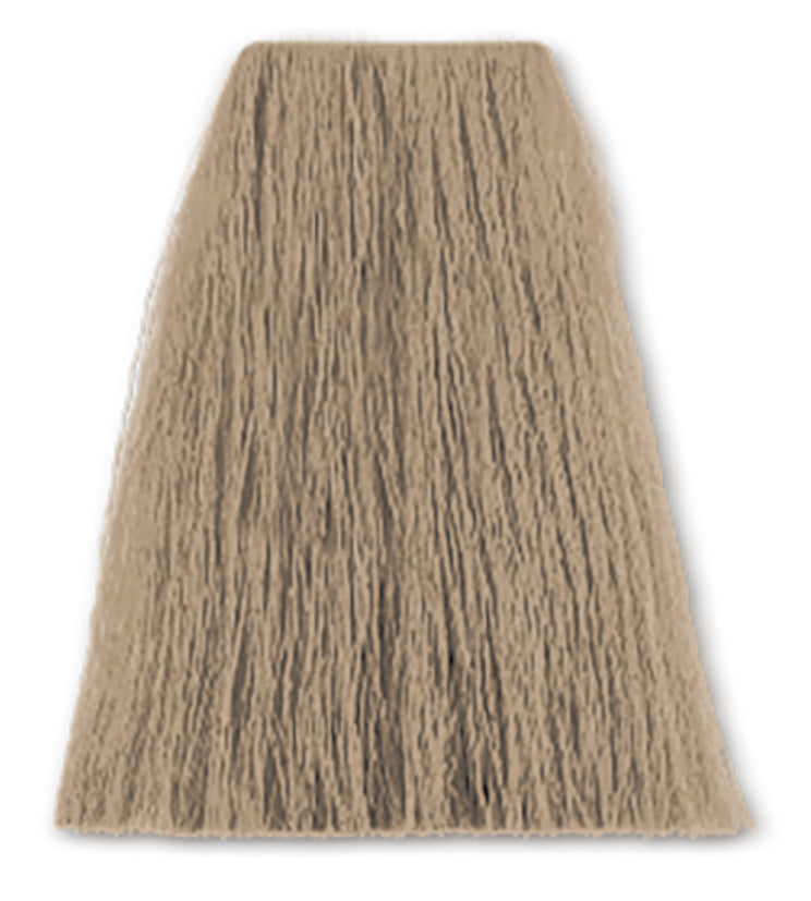 SBC 12-11aa special blond asch intensiv – Friseuroutlet