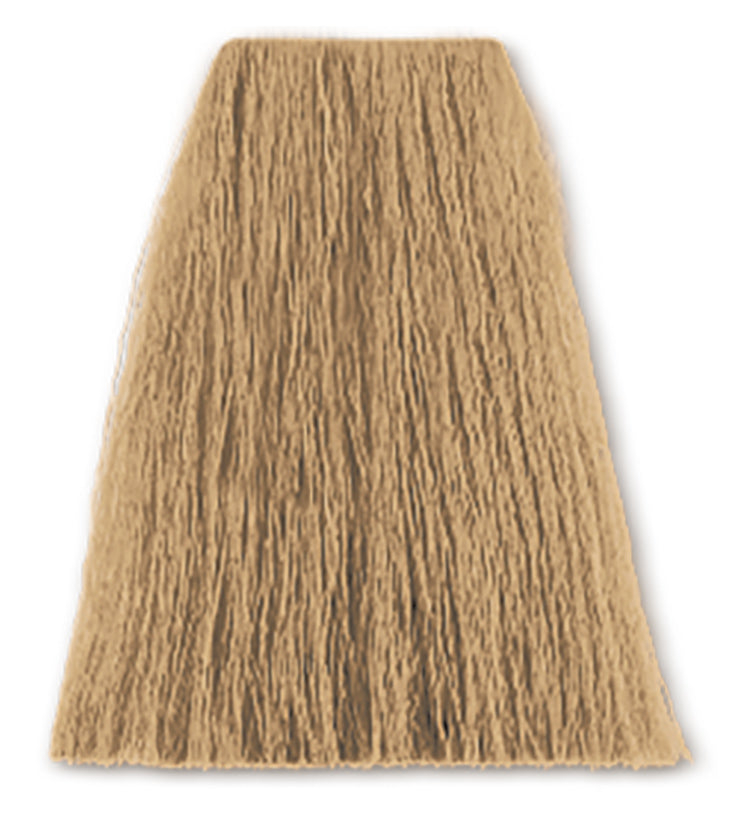 SBC 12-16av special blond asch violett – Friseuroutlet