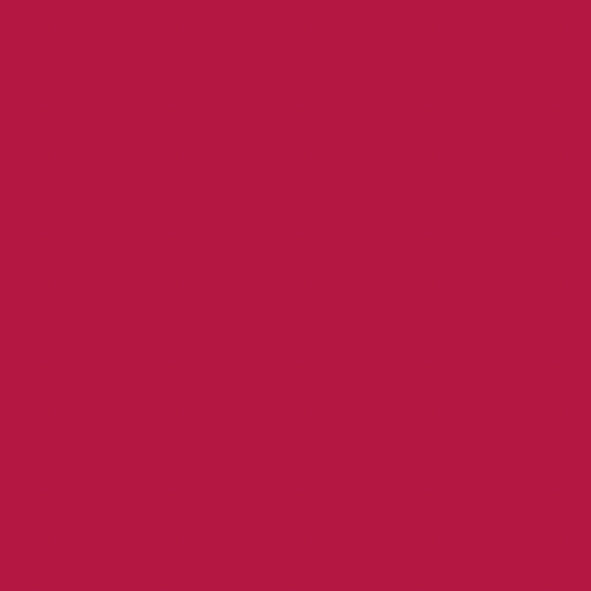BC Matt Lipstick matt red 05 – Friseuroutlet