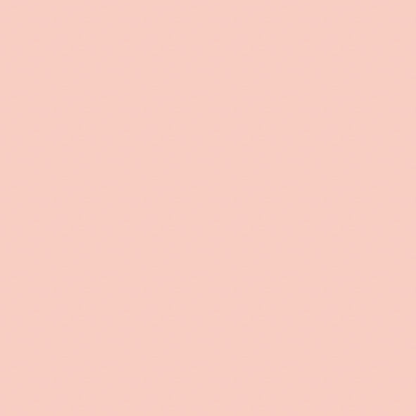BC Brilliant Cosmetics Contouring Powder 01 silk touch 7 g