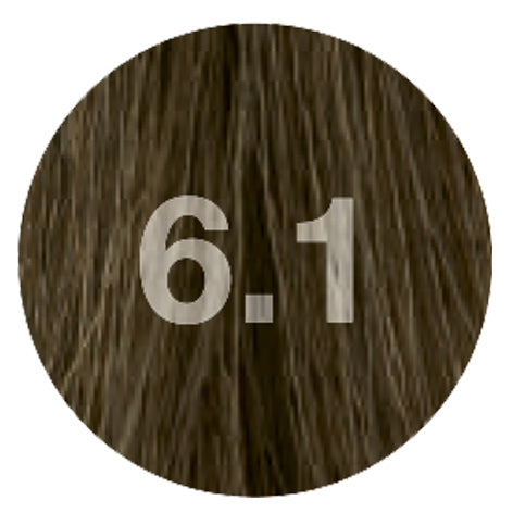 Nouvelle CE 6.1 dunkelblond asch 60ml – Friseuroutlet