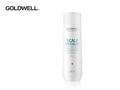 Goldwell Dualsenses Scalp Specialist Anti-Dandruff Shampoo 250 ml