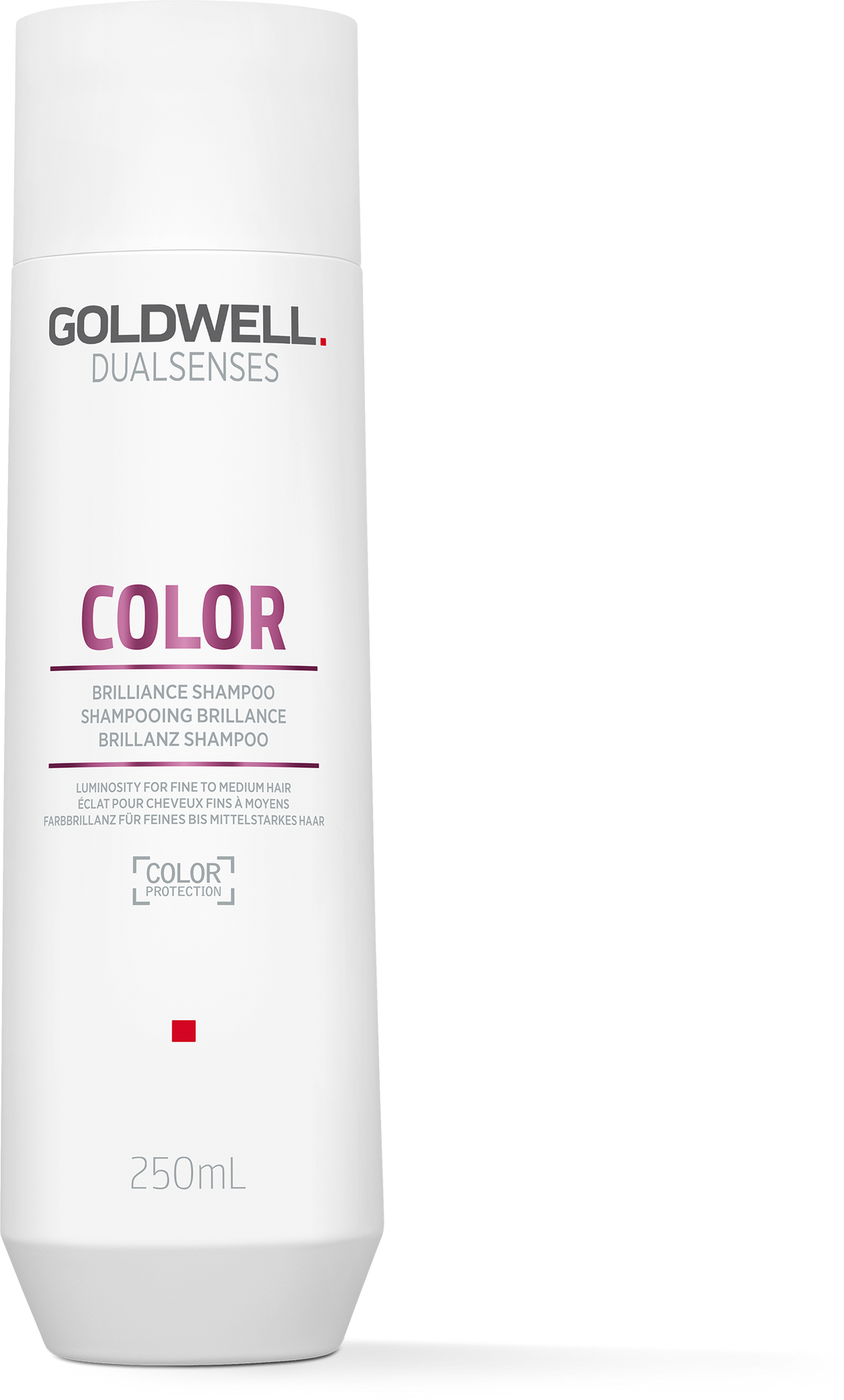 Goldwell Dualsenses Color Brilliance Shampoo 250 ml